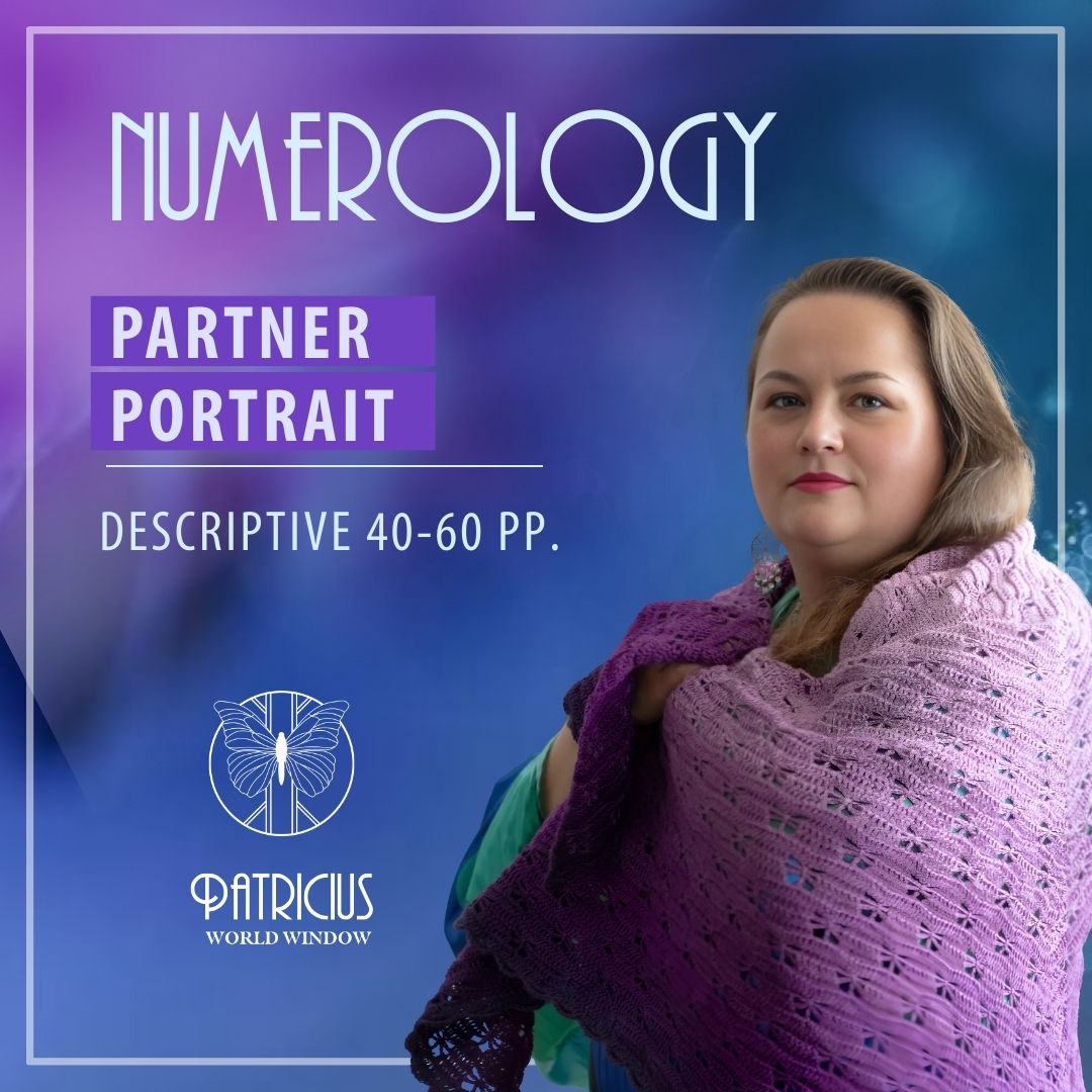 Descriptive partner portrait (40–60 pages)